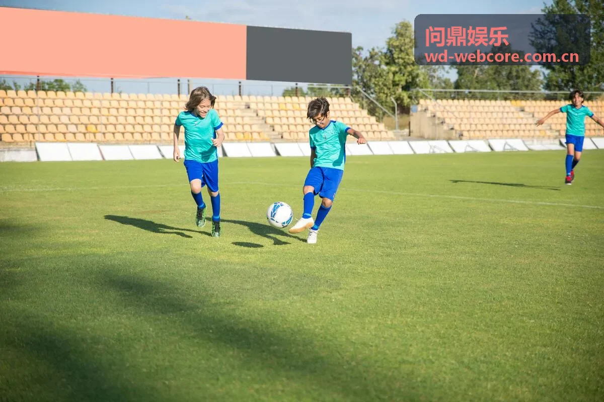 问鼎娱乐渠道合作案例